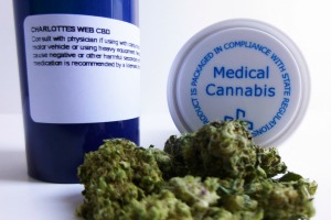 medical marijuana in a pill bottle