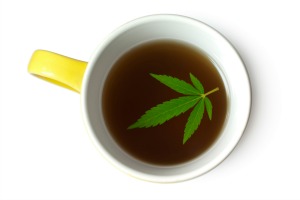 pot leaf in tea