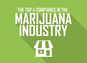 Top 4 Companies in the Marijuana Industry | Legally Rooted