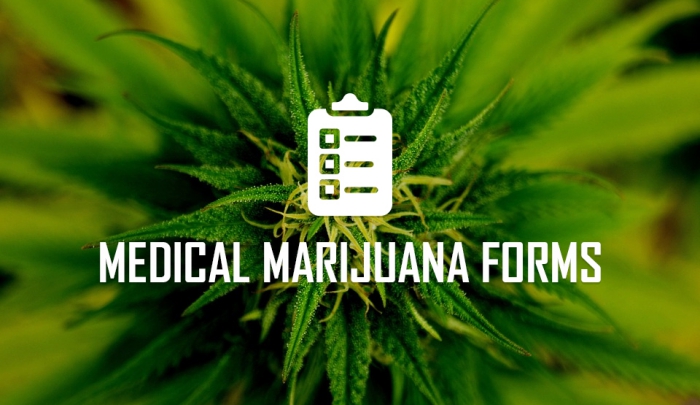 Pennsylvania Medical Marijuana Forms