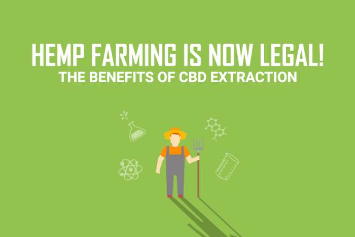 The Benefits of CBD Extraction in hemp